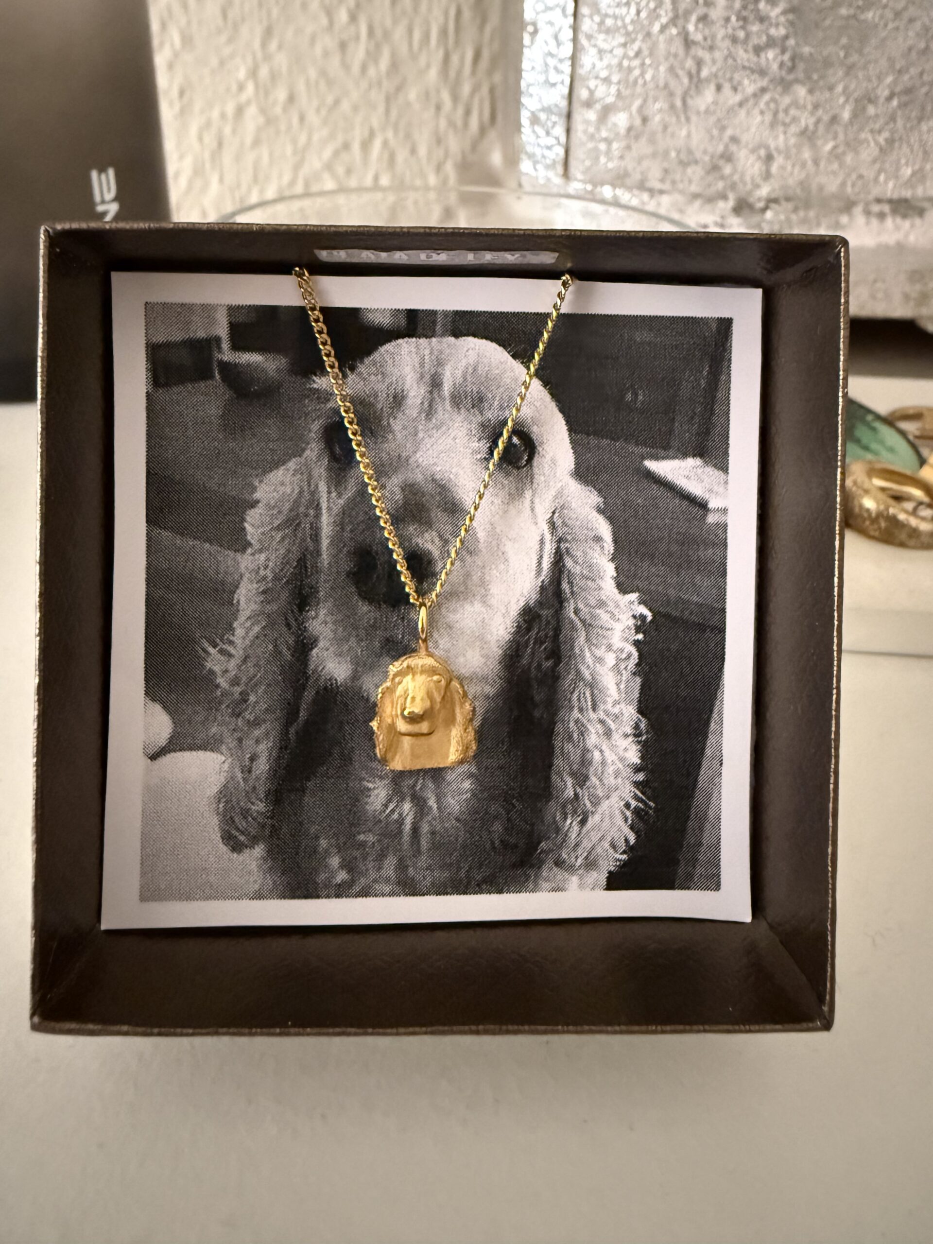 Foto de la joya de Carlos 1