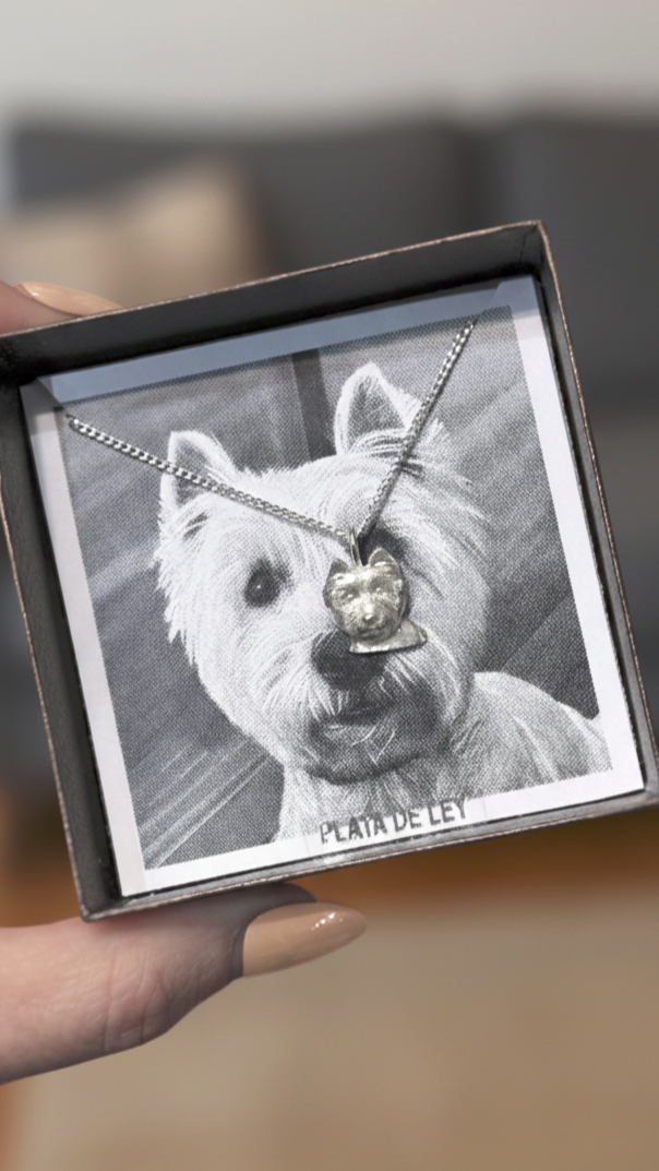 Foto de la joya de Claudia